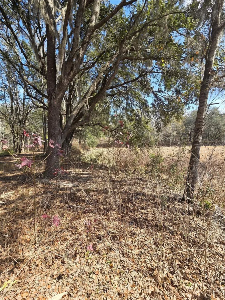 359 SAVANNAH OAKS DRIVE Brooksville, FL 34602