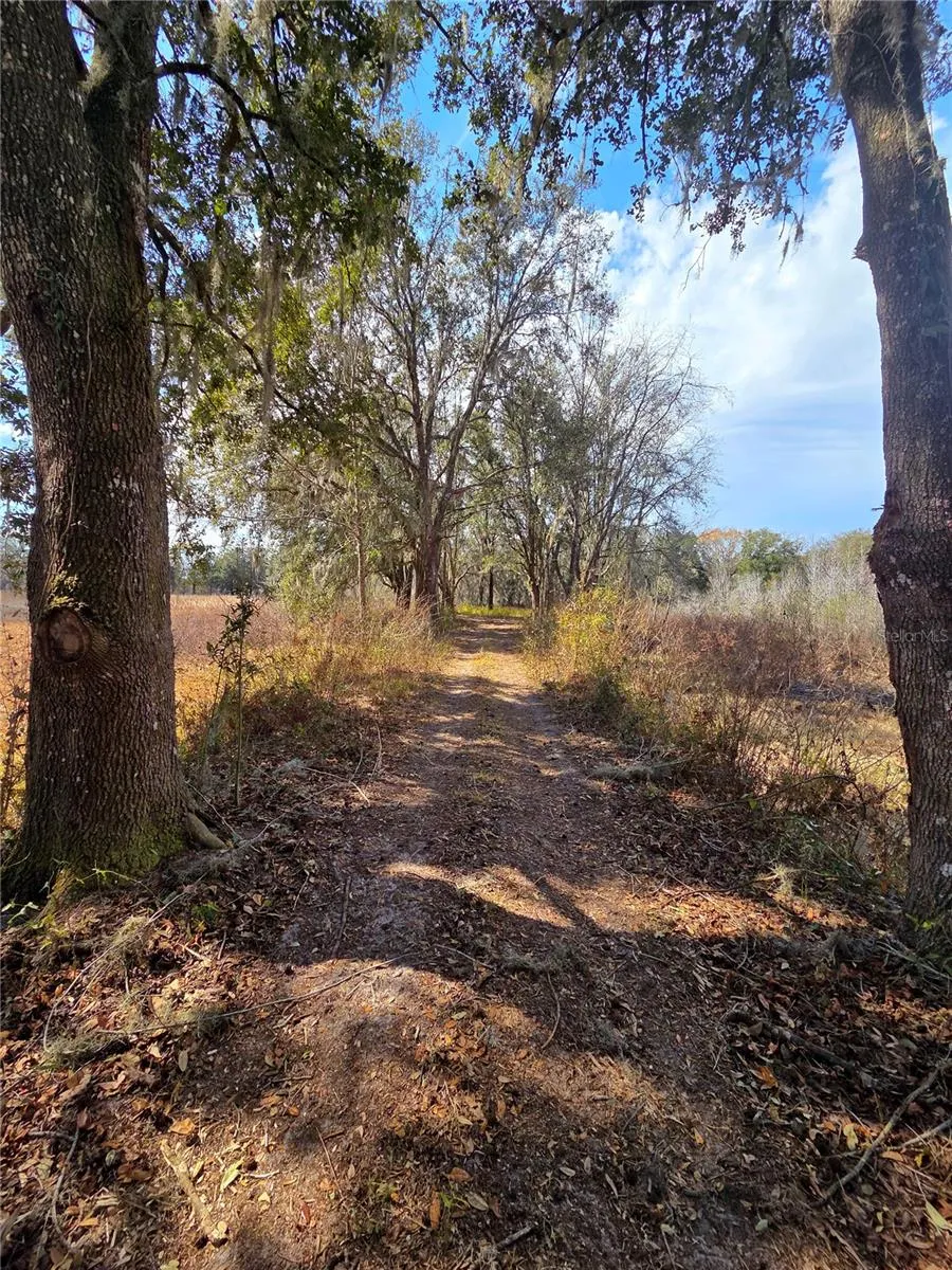359 SAVANNAH OAKS DRIVE Brooksville, FL 34602