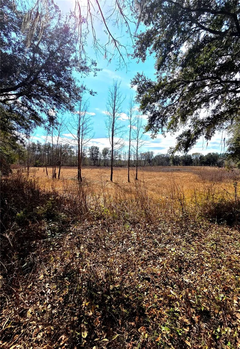 359 SAVANNAH OAKS DRIVE Brooksville, FL 34602