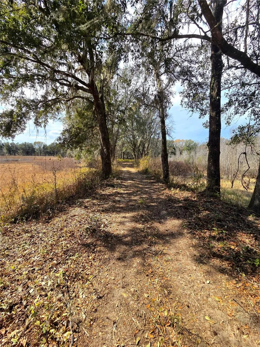 359 SAVANNAH OAKS DRIVE Brooksville, FL 34602