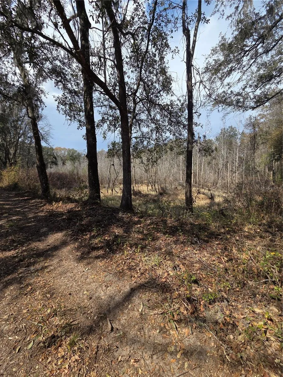 359 SAVANNAH OAKS DRIVE Brooksville, FL 34602