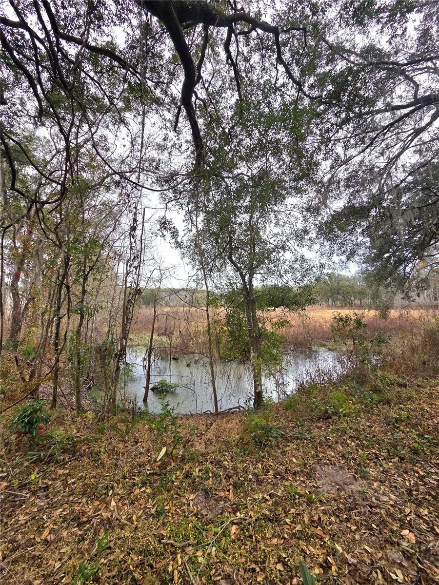 359 SAVANNAH OAKS DRIVE Brooksville, FL 34602