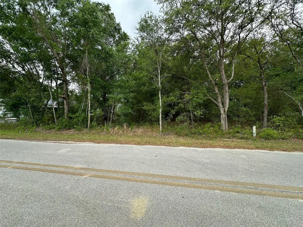 SE 86TH COURT Belleview, FL 34420