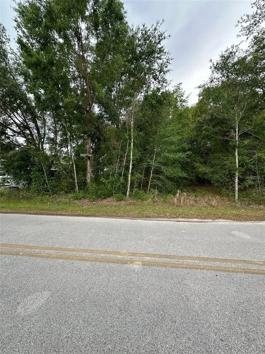 SE 86TH COURT Belleview, FL 34420