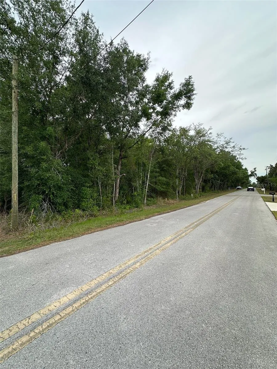 SE 86TH COURT Belleview, FL 34420