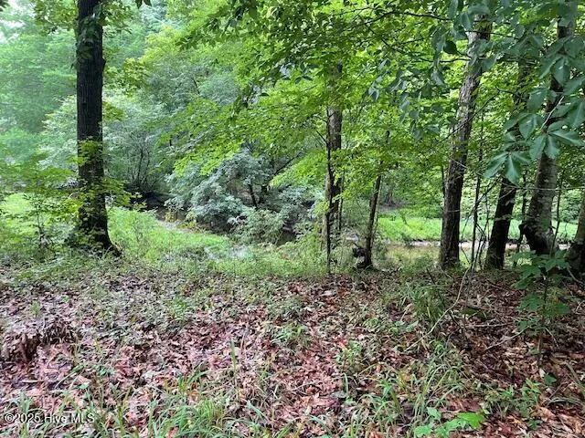 62 Live Oak Drive Elizabethtown, NC 28337