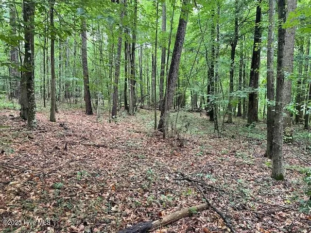 62 Live Oak Drive Elizabethtown, NC 28337