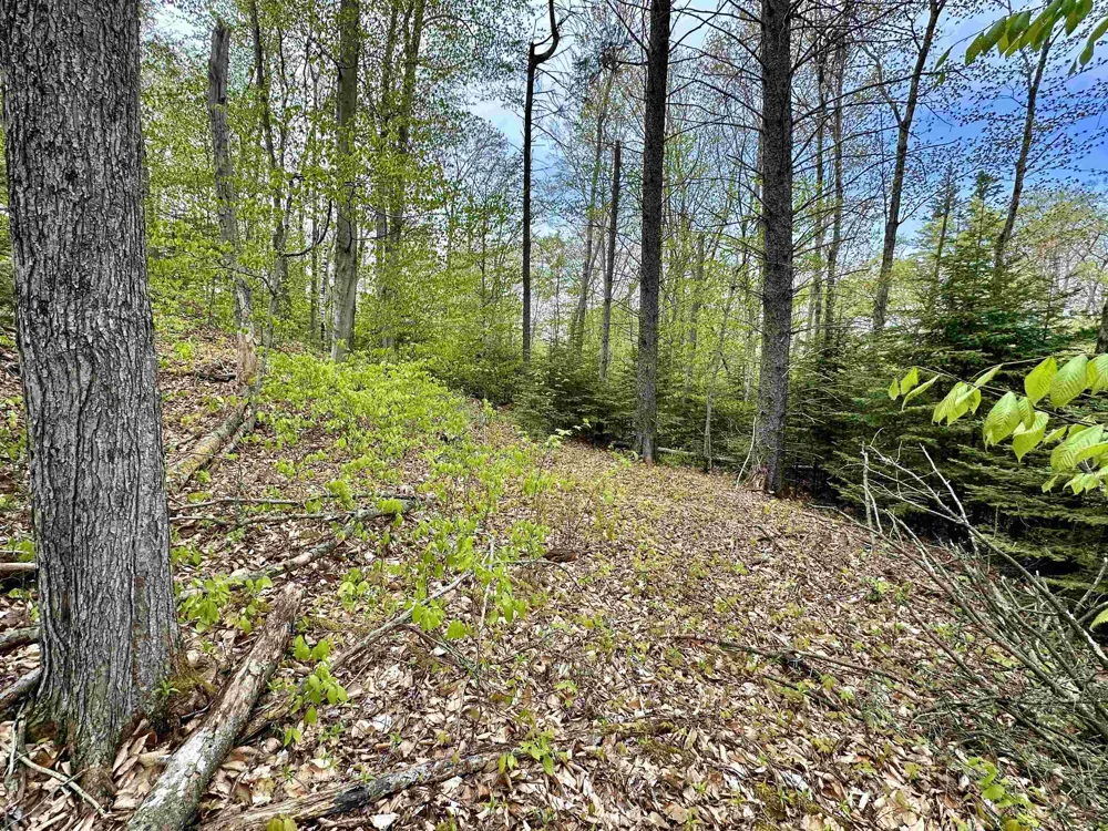 Allens Lakeview Peaine Township, MI 49782