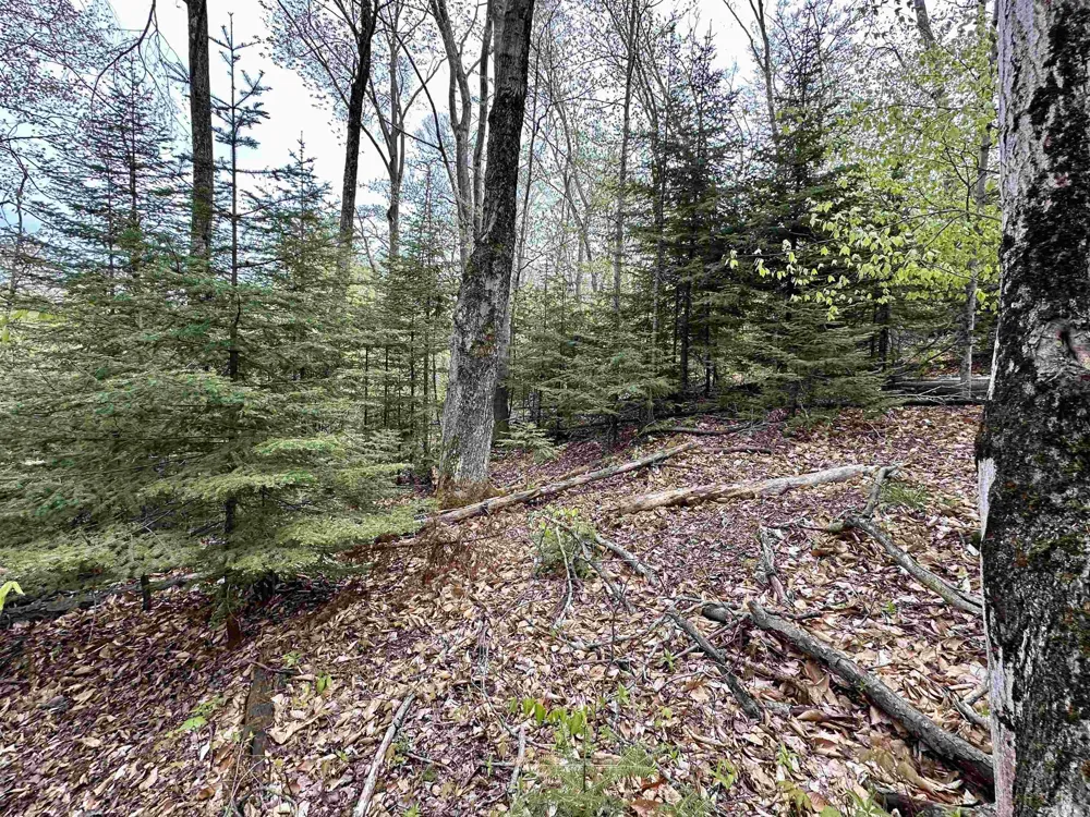 Allens Lakeview Peaine Township, MI 49782