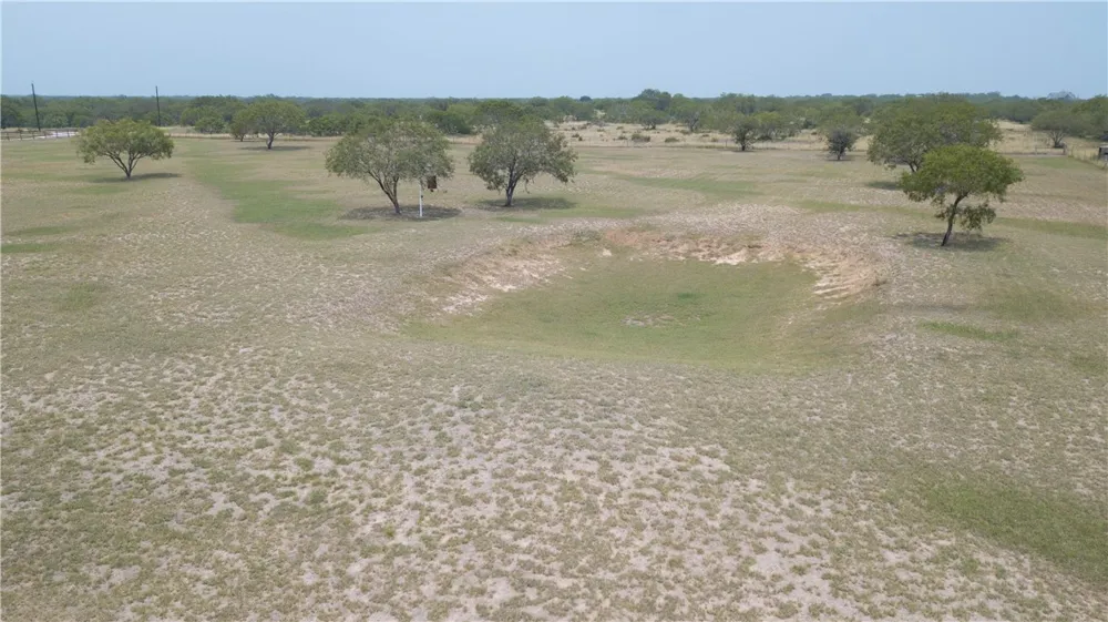 227 Hollow Tree Alice, TX 78332