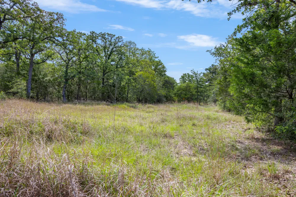 Anders-Daniels Road La Grange, TX 78945