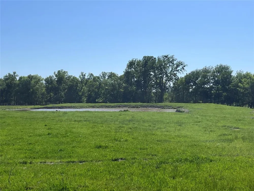 4798 E FM 198 Lake Creek, TX 75450
