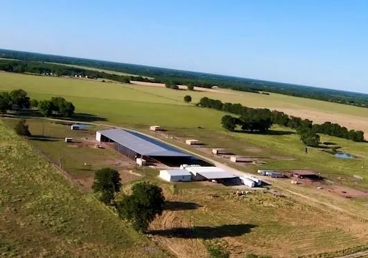 4798 E FM 198 Lake Creek, TX 75450