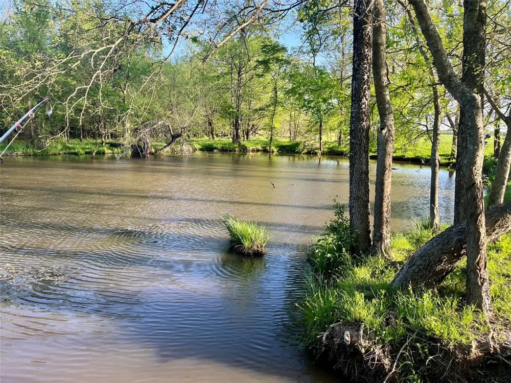 4798 E FM 198 Lake Creek, TX 75450