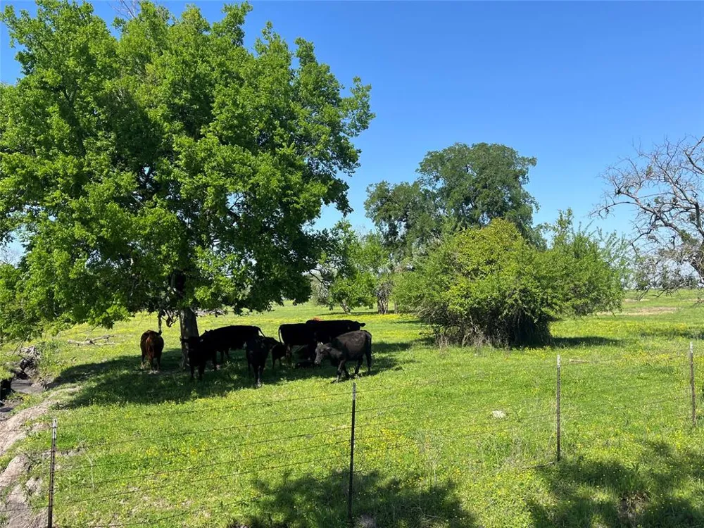 4798 E FM 198 Lake Creek, TX 75450