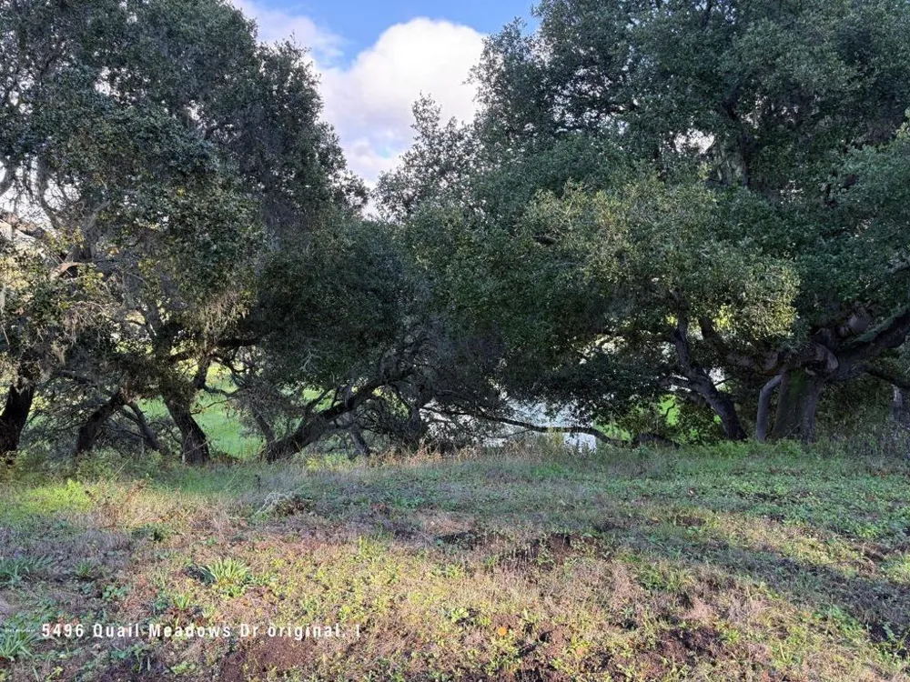 5496 Quail Meadows Drive Carmel, CA 93923