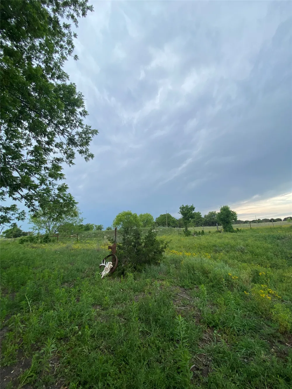 9 CR 414 Hamilton, TX 76538