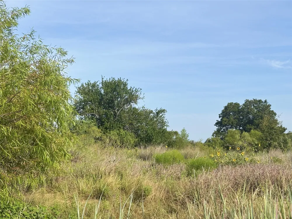 9 CR 414 Hamilton, TX 76538