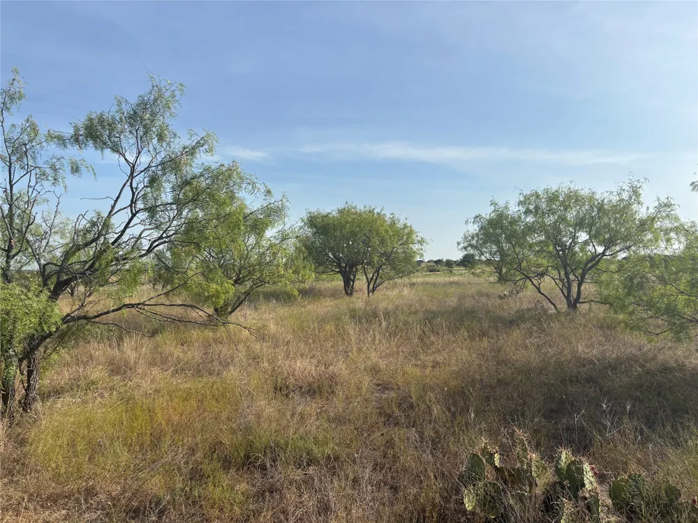 9 CR 414 Hamilton, TX 76538