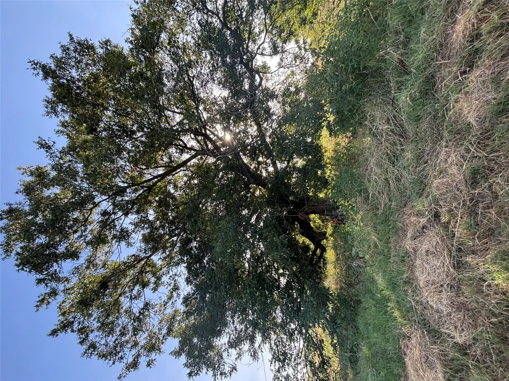 9 CR 414 Hamilton, TX 76538