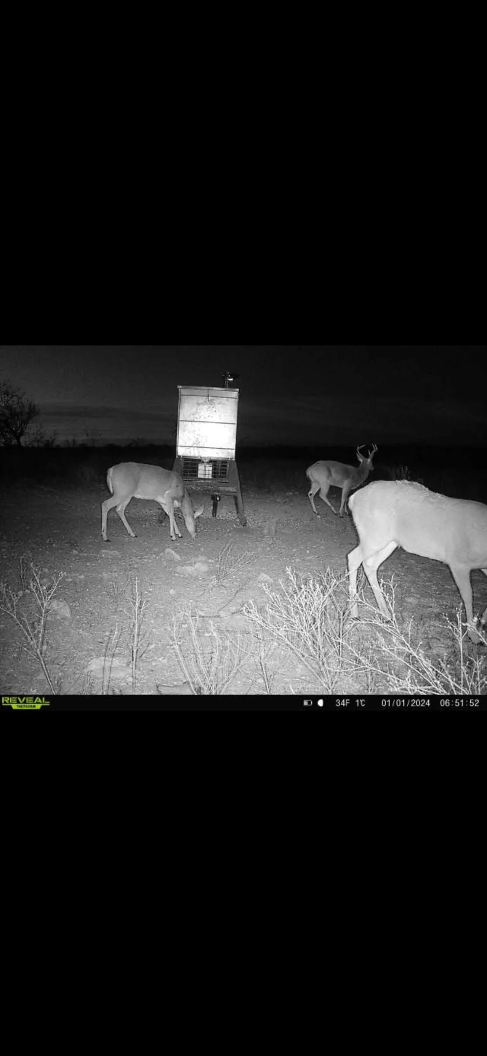 9 CR 414 Hamilton, TX 76538