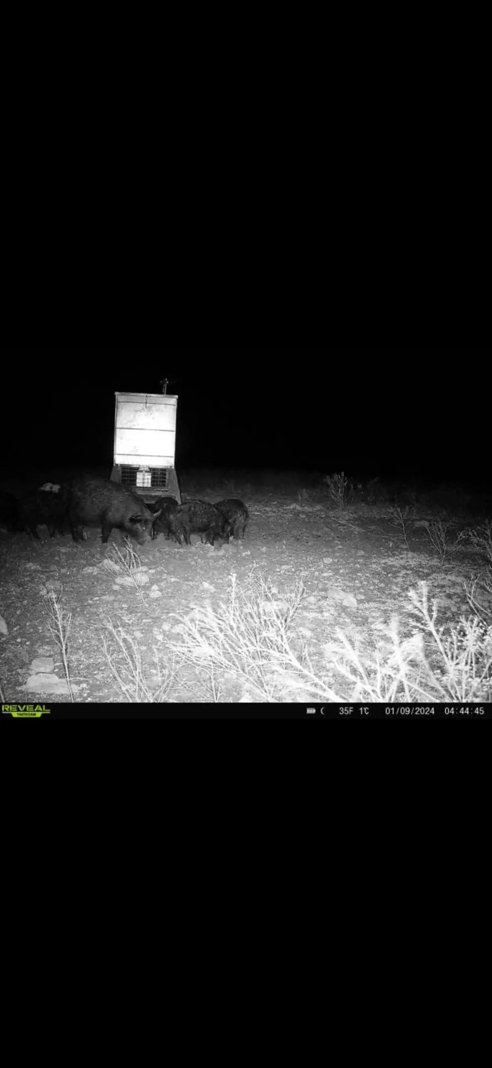 9 CR 414 Hamilton, TX 76538