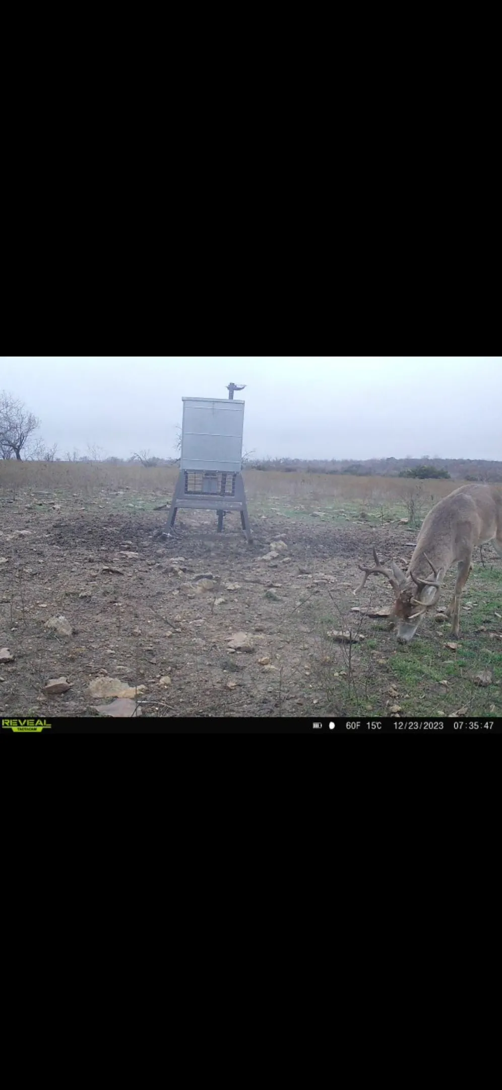 9 CR 414 Hamilton, TX 76538