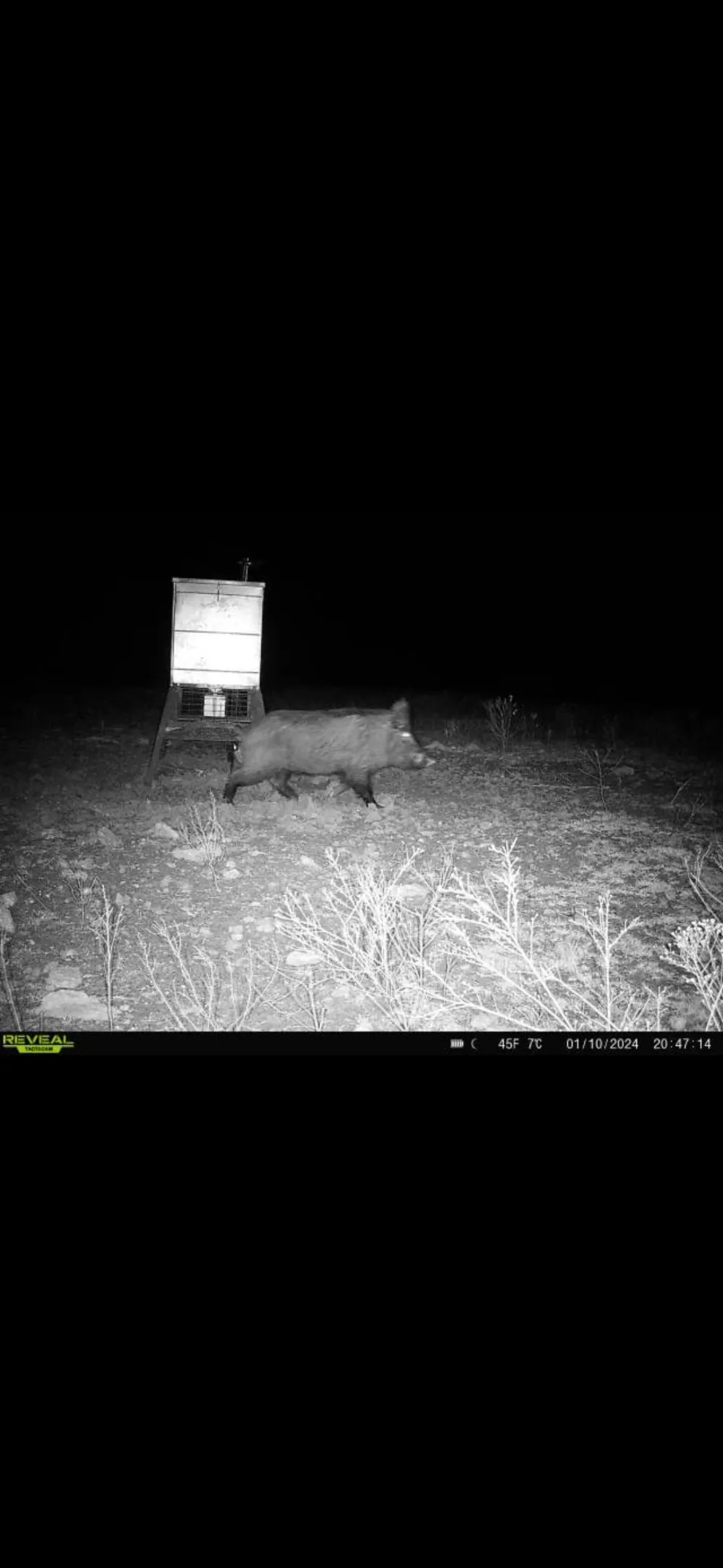 9 CR 414 Hamilton, TX 76538