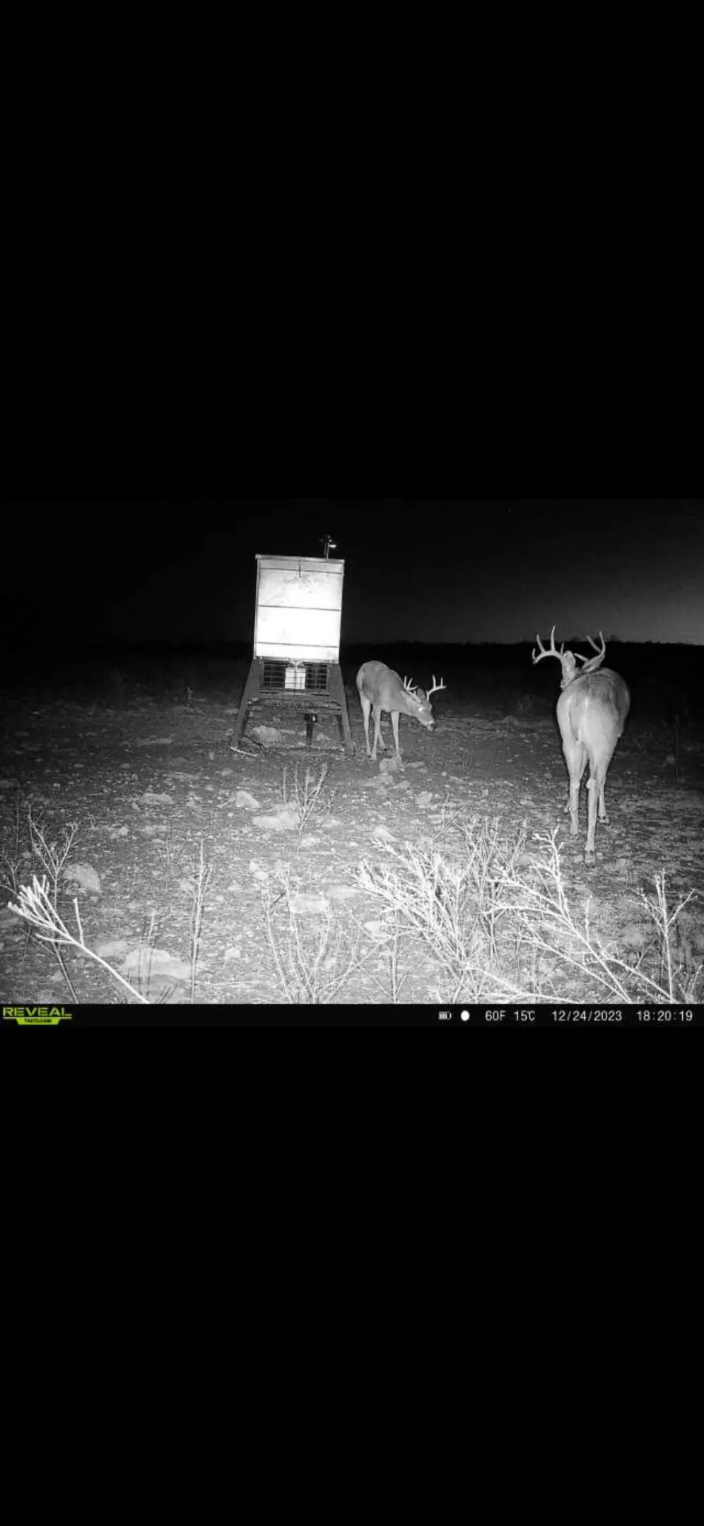 9 CR 414 Hamilton, TX 76538