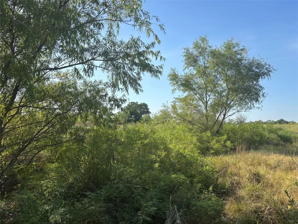 9 CR 414 Hamilton, TX 76538