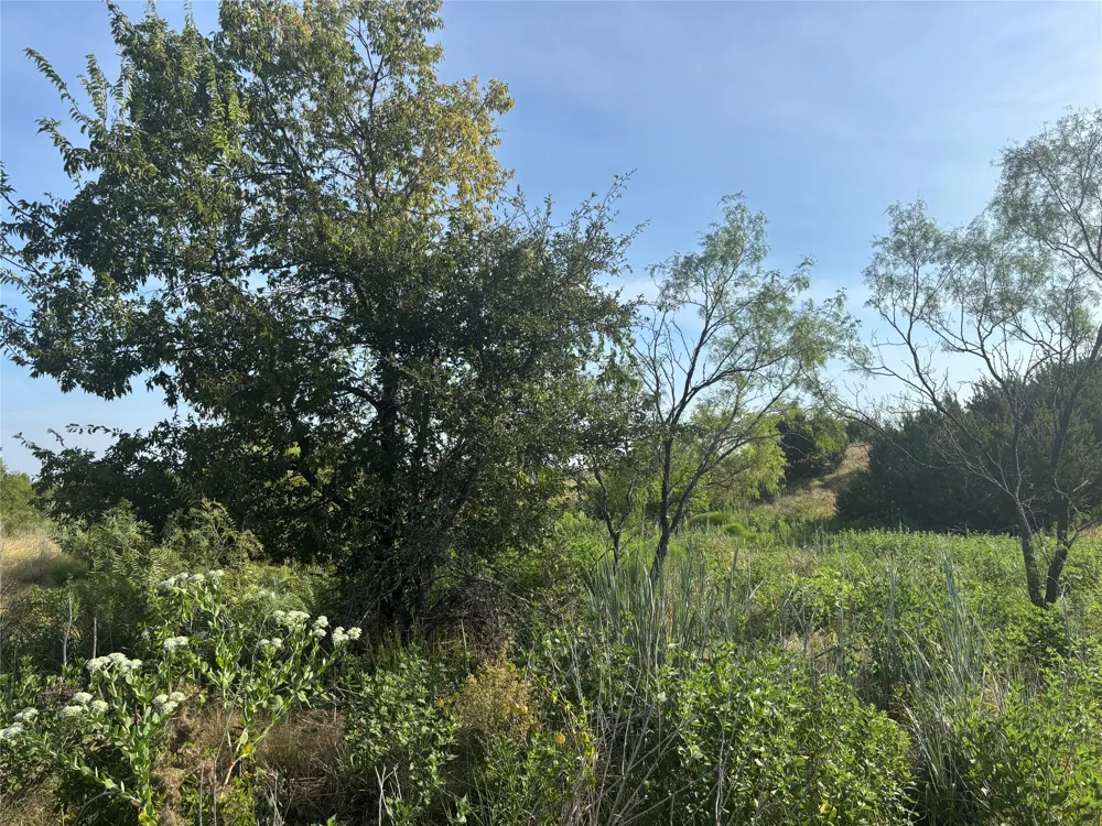 9 CR 414 Hamilton, TX 76538
