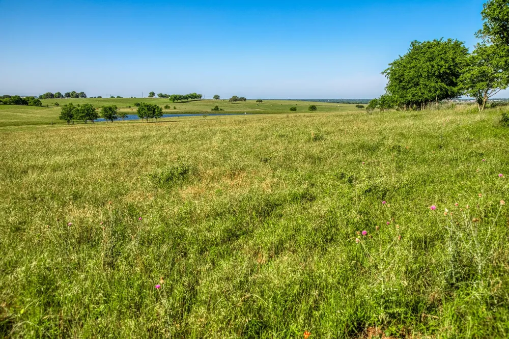 5005 Fuchs Rd - Lot 7 Burton, TX 77835