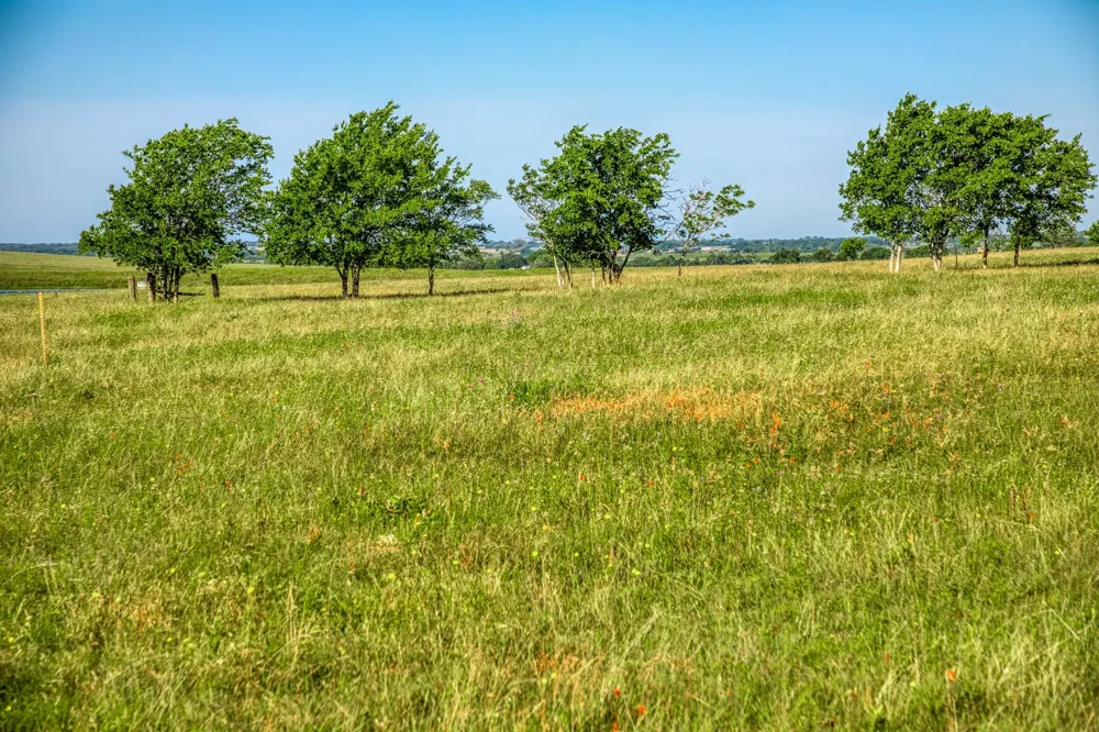 5005 Fuchs Rd - Lot 7 Burton, TX 77835