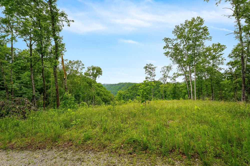 0 Knowles Ln Sparta, TN 38583