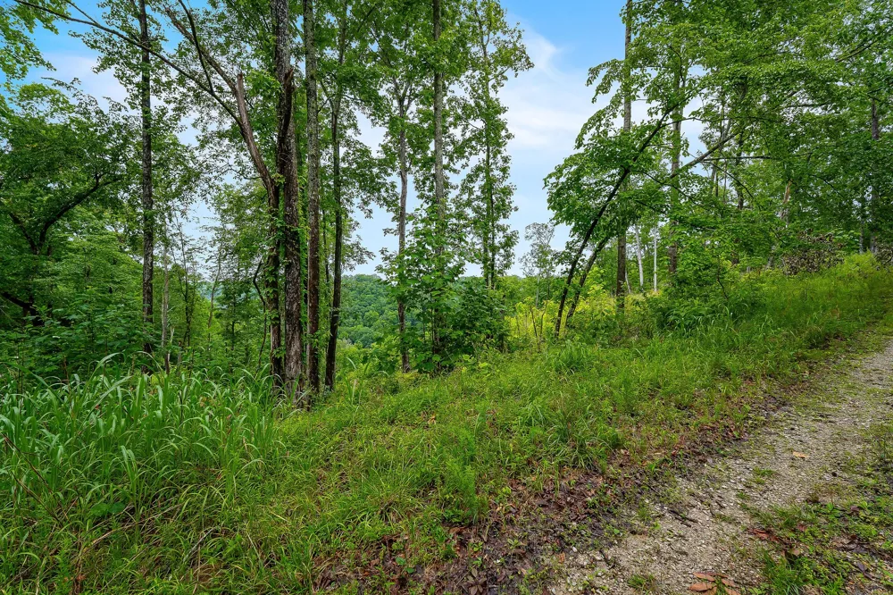 0 Knowles Ln Sparta, TN 38583