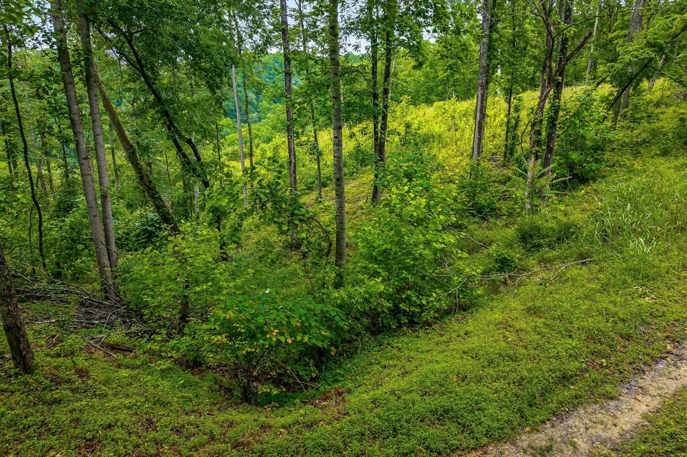 0 Knowles Ln Sparta, TN 38583