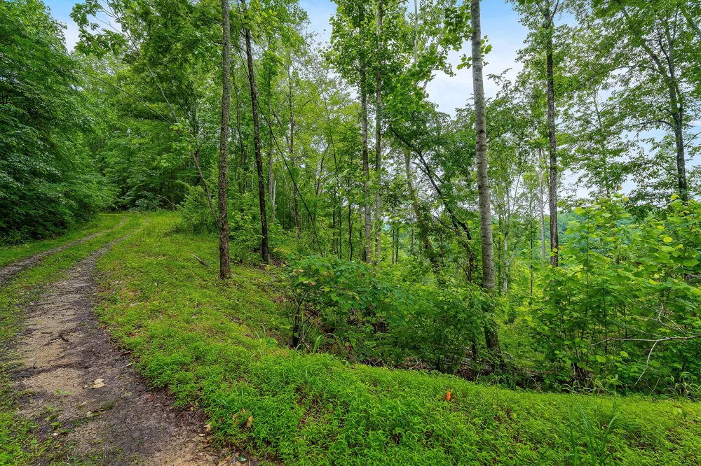 0 Knowles Ln Sparta, TN 38583