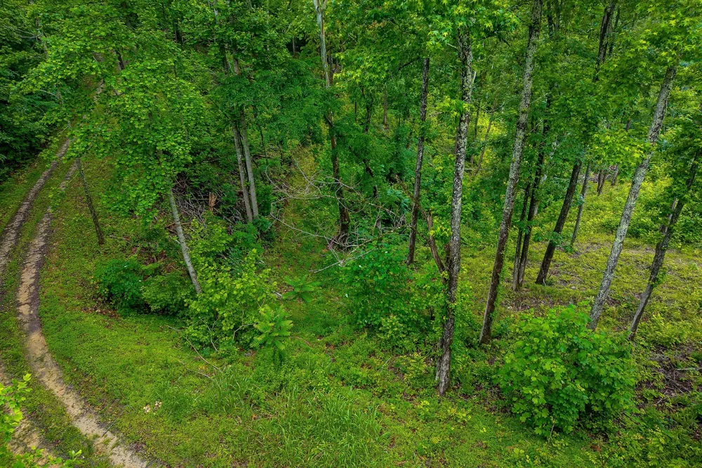 0 Knowles Ln Sparta, TN 38583