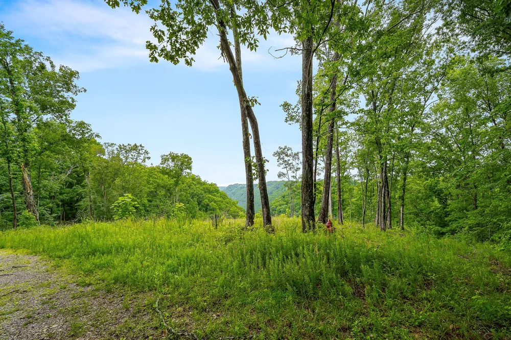 0 Knowles Ln Sparta, TN 38583