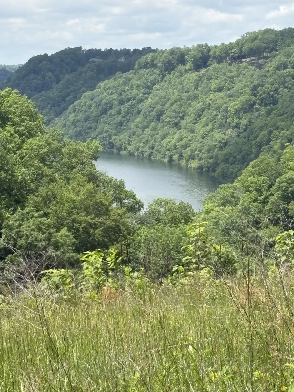 0 Knowles Ln Sparta, TN 38583