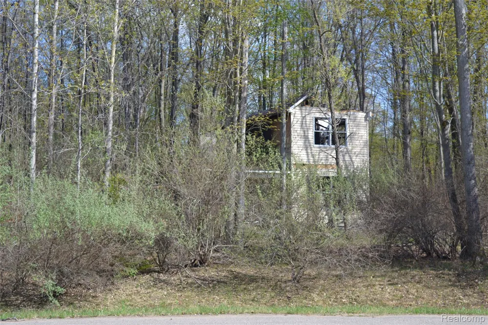 Oak Ridge Court Mills Township, MI 48756