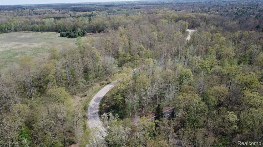 Oak Ridge Court Mills Township, MI 48756