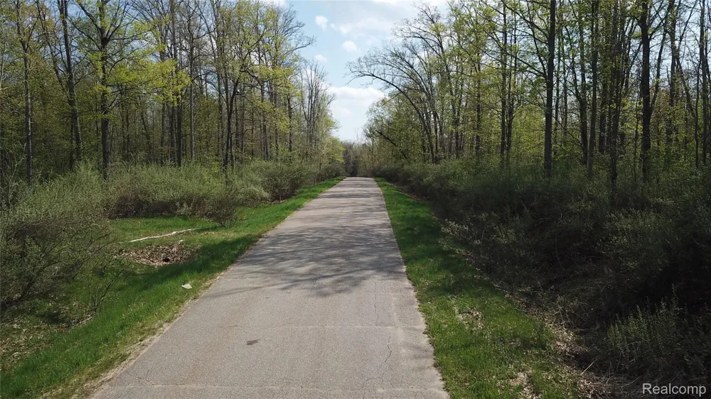 Oak Ridge Court Mills Township, MI 48756