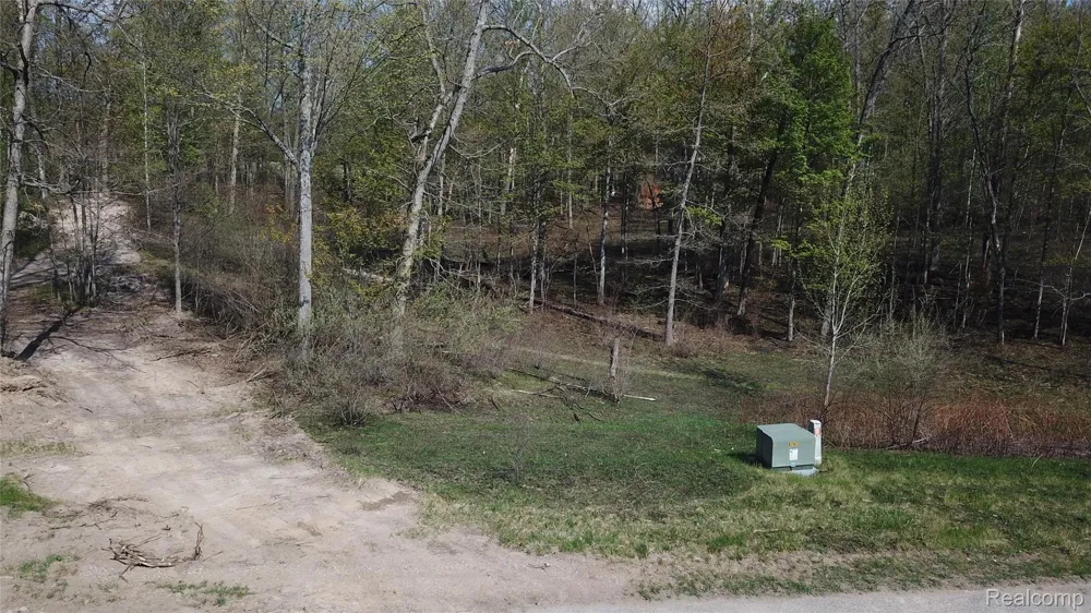 Oak Ridge Court Mills Township, MI 48756