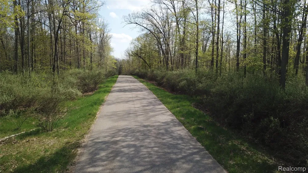 Oak Ridge Court Mills Township, MI 48756