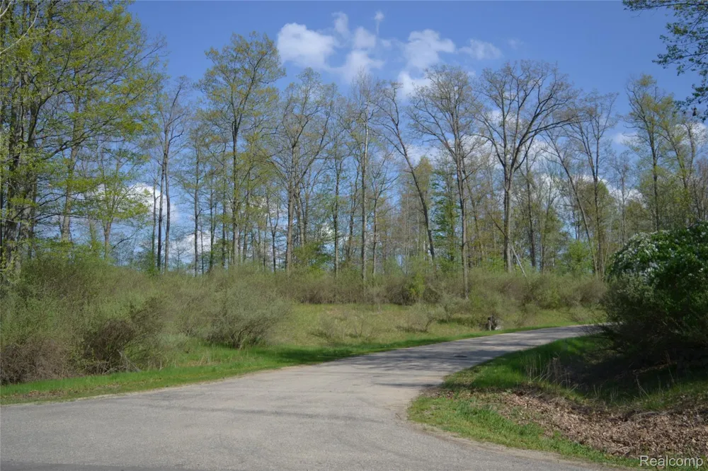 Oak Ridge Court Mills Township, MI 48756