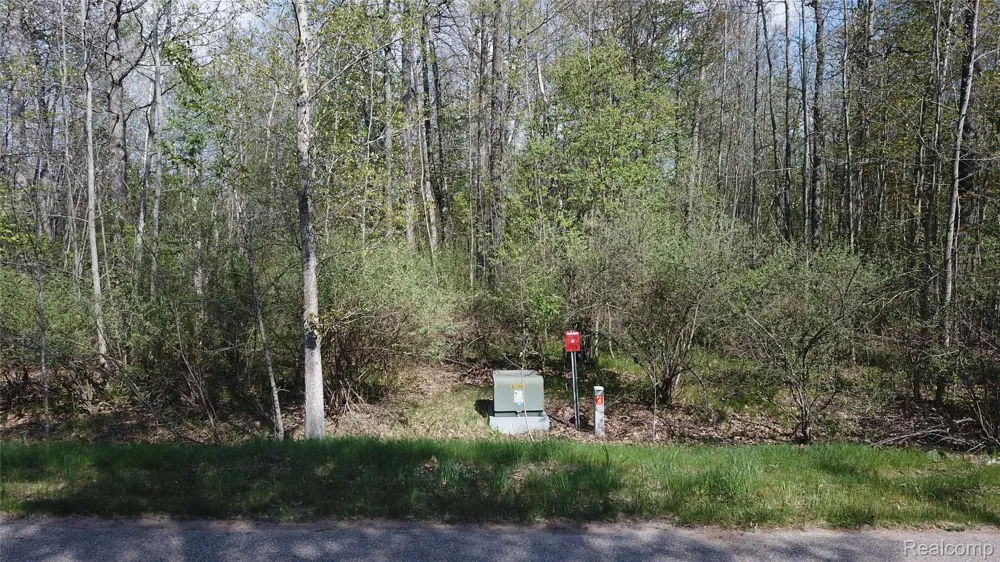 Oak Ridge Court Mills Township, MI 48756