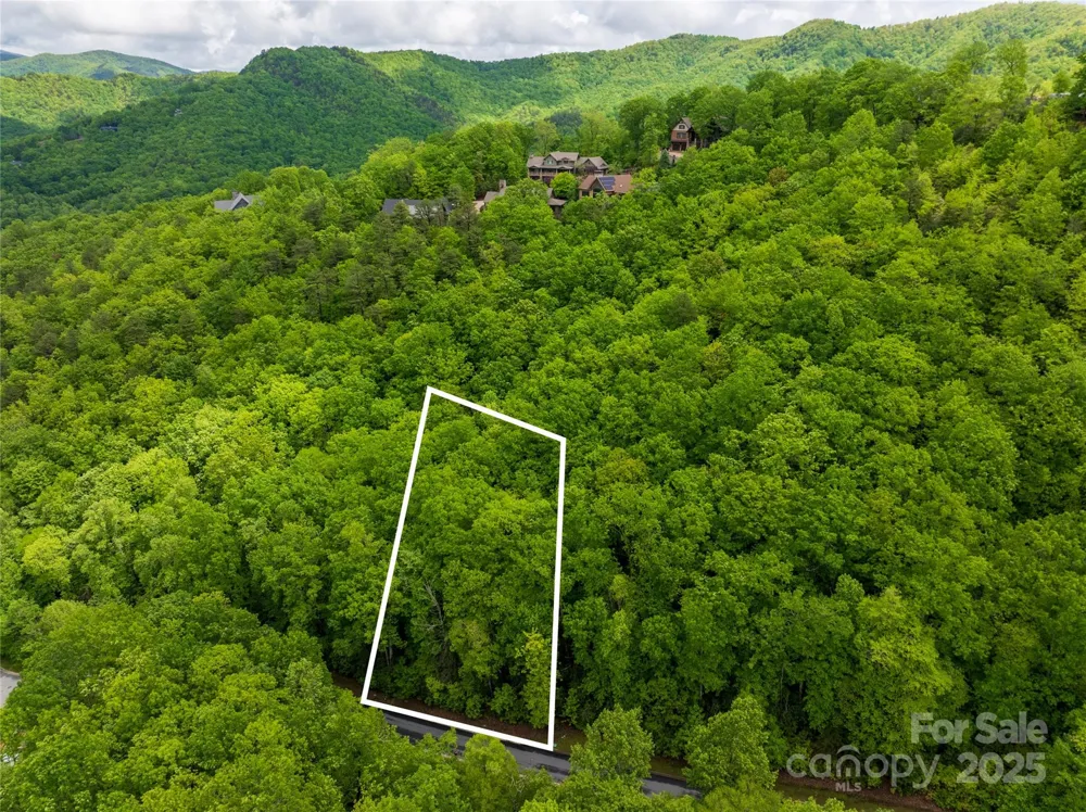 52 Settings Boulevard Black Mountain, NC 28711