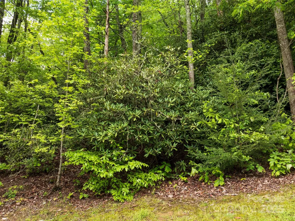 52 Settings Boulevard Black Mountain, NC 28711