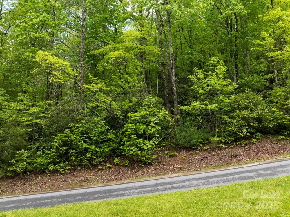 52 Settings Boulevard Black Mountain, NC 28711
